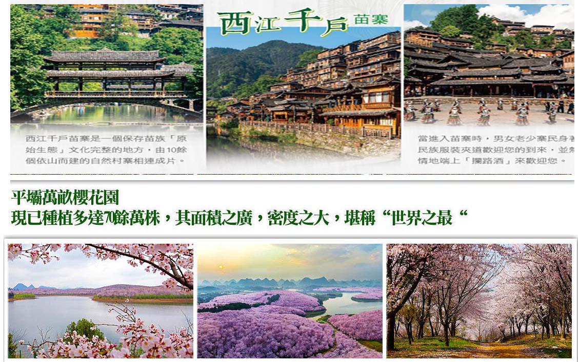 西江+櫻花.jpg
